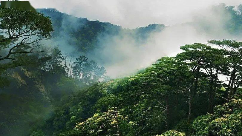 关于水痘,你知道以下的几点?