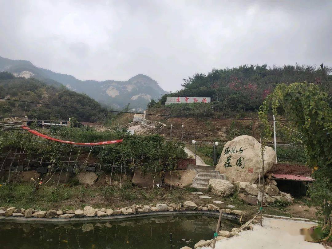 寻找丢失的金币